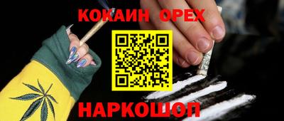 ПСИЛОЦИБИНОВЫЕ ГРИБЫ Новозыбков