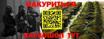 дистиллят марихуана Новодвинск